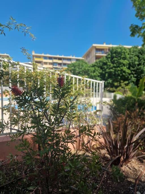 Appartement Vue Mer Sur Les Hauteurs De Niza Exterior foto